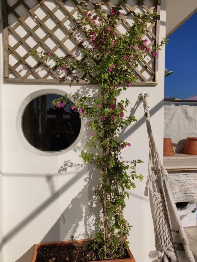 La Terrazza Di Gregorio Apartment *
